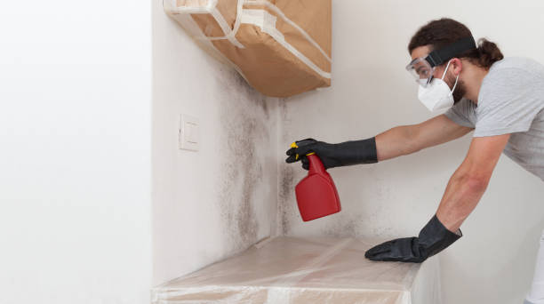 Professional Mold Removal technician working in Westphalia, MD